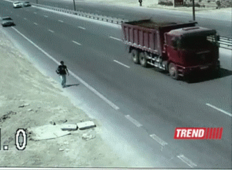 Mostly gifs and facts