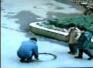 Mostly gifs and facts