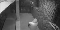 Spain: robber cruelly beats a woman while taking her purse