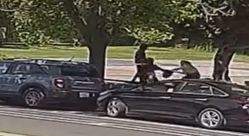 Two Thugs Rob A Woman In Oakland