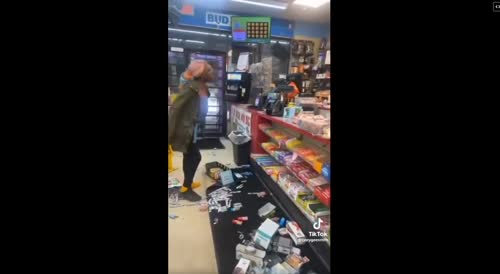 LADY LOST HER DAMN MIND, STARTS DESTROYING STORE AND FREAKING OUT