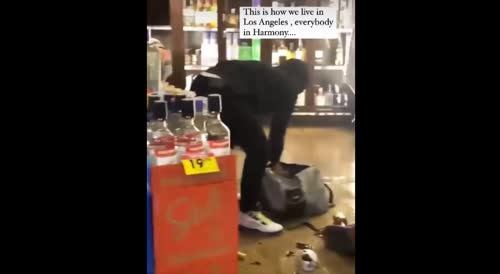 These Are the Hoodlums the Media Claimed 'Were Trying to Feed Their Families' By Stealing ALCOHOL!