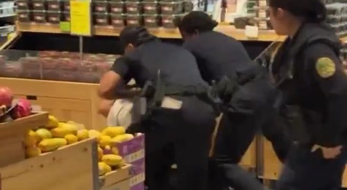 Female Cops are Useless
