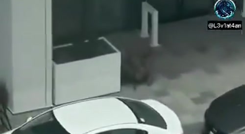 Second angle of Rabbi shot