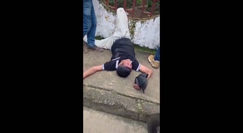 Robber Gets Dog Treatment