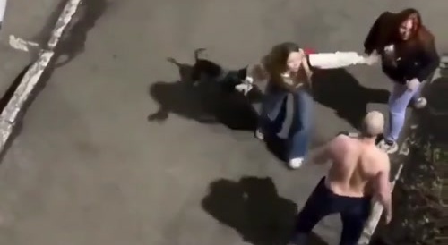 Double-team Pussy fight